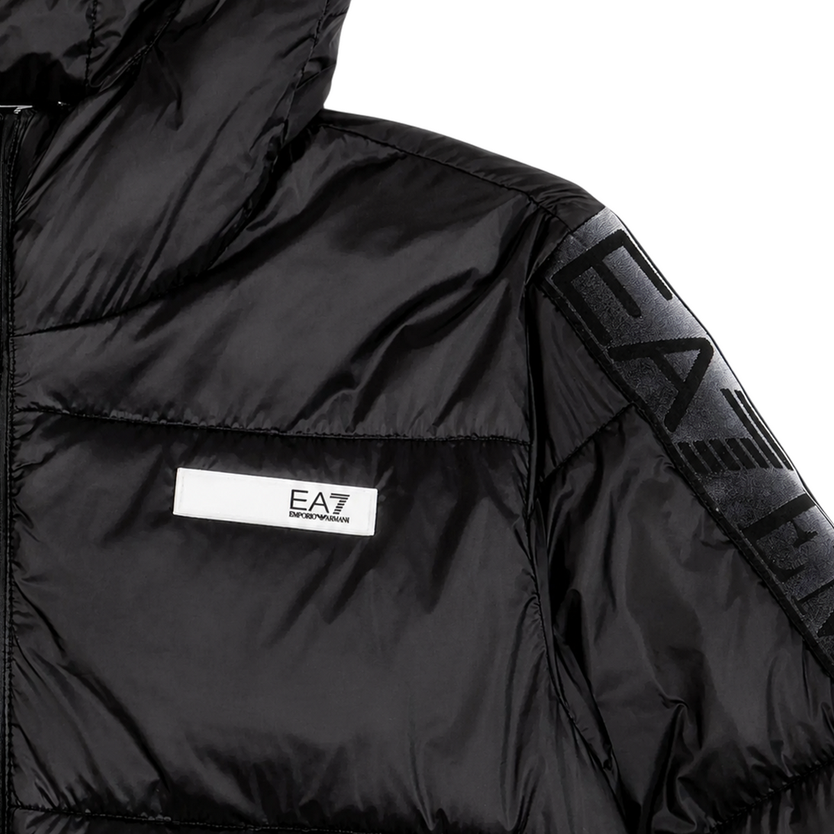 Jacket EA7 kids Girl 7G000166-AF16413 UC001
