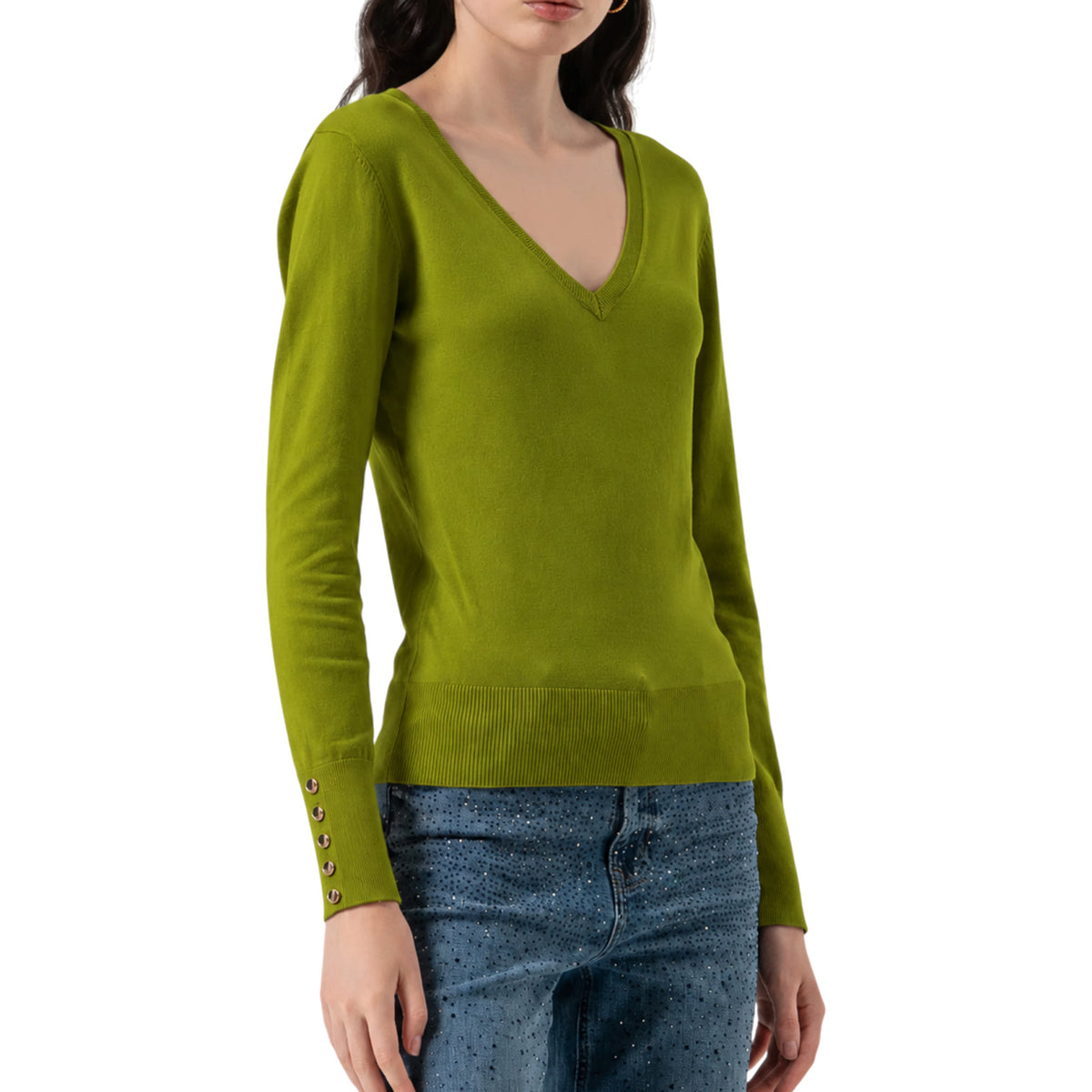 Sweater FRACOMINA WOMAN FR25WT7002K42101 813