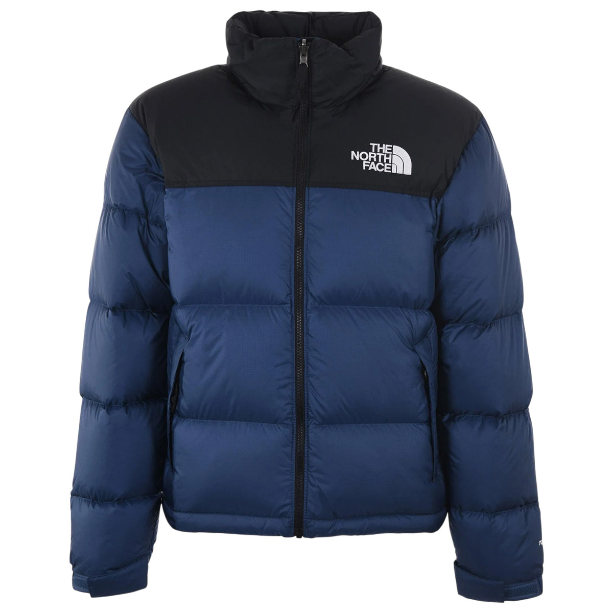 Jacket THE NORTH FACE MAN NF0A3C8D GOB