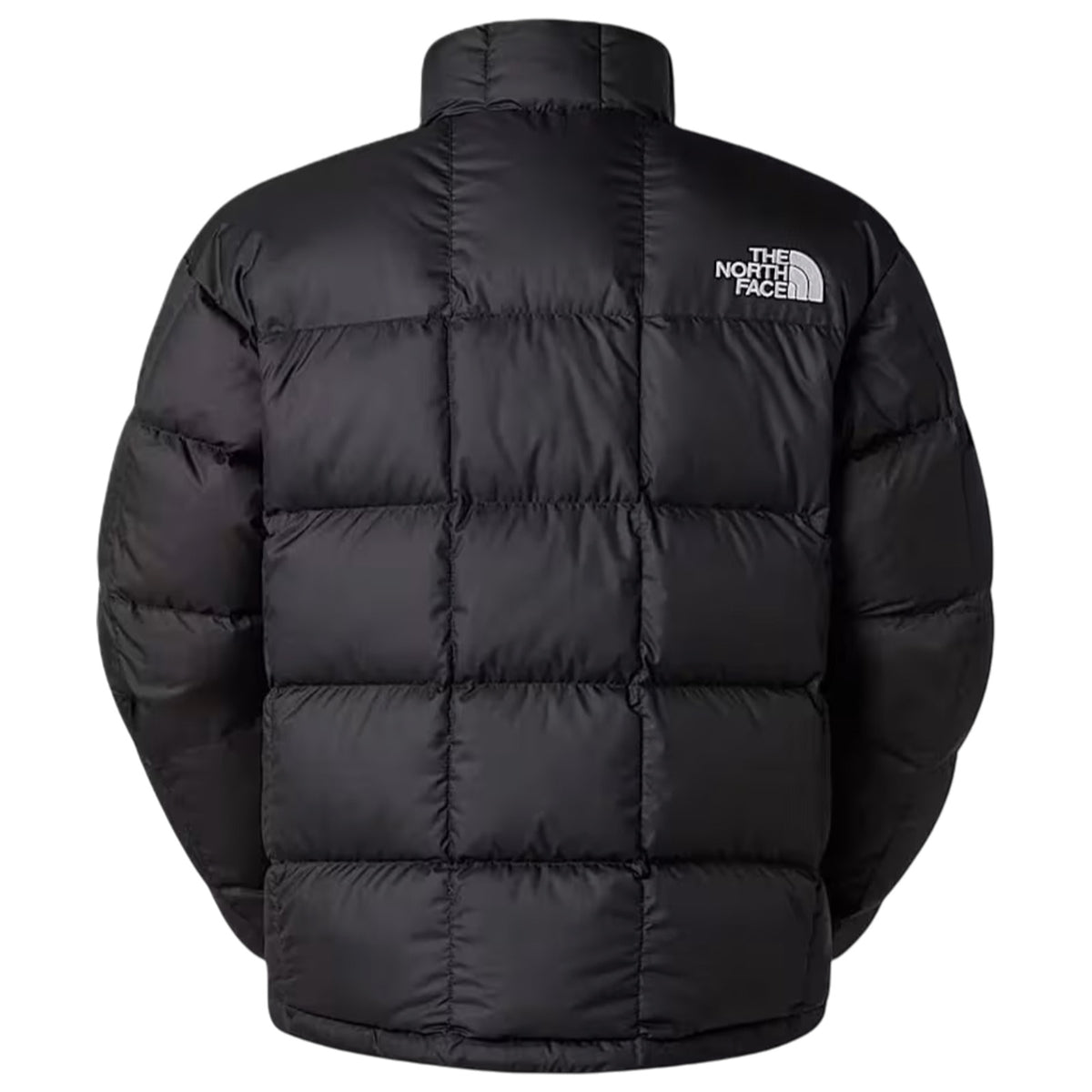 Giubbotto THE NORTH FACE Uomo NF0A3Y23 GOE