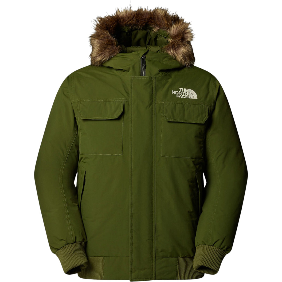 Giubbotto THE NORTH FACE Uomo NF0A5GD9 BRI