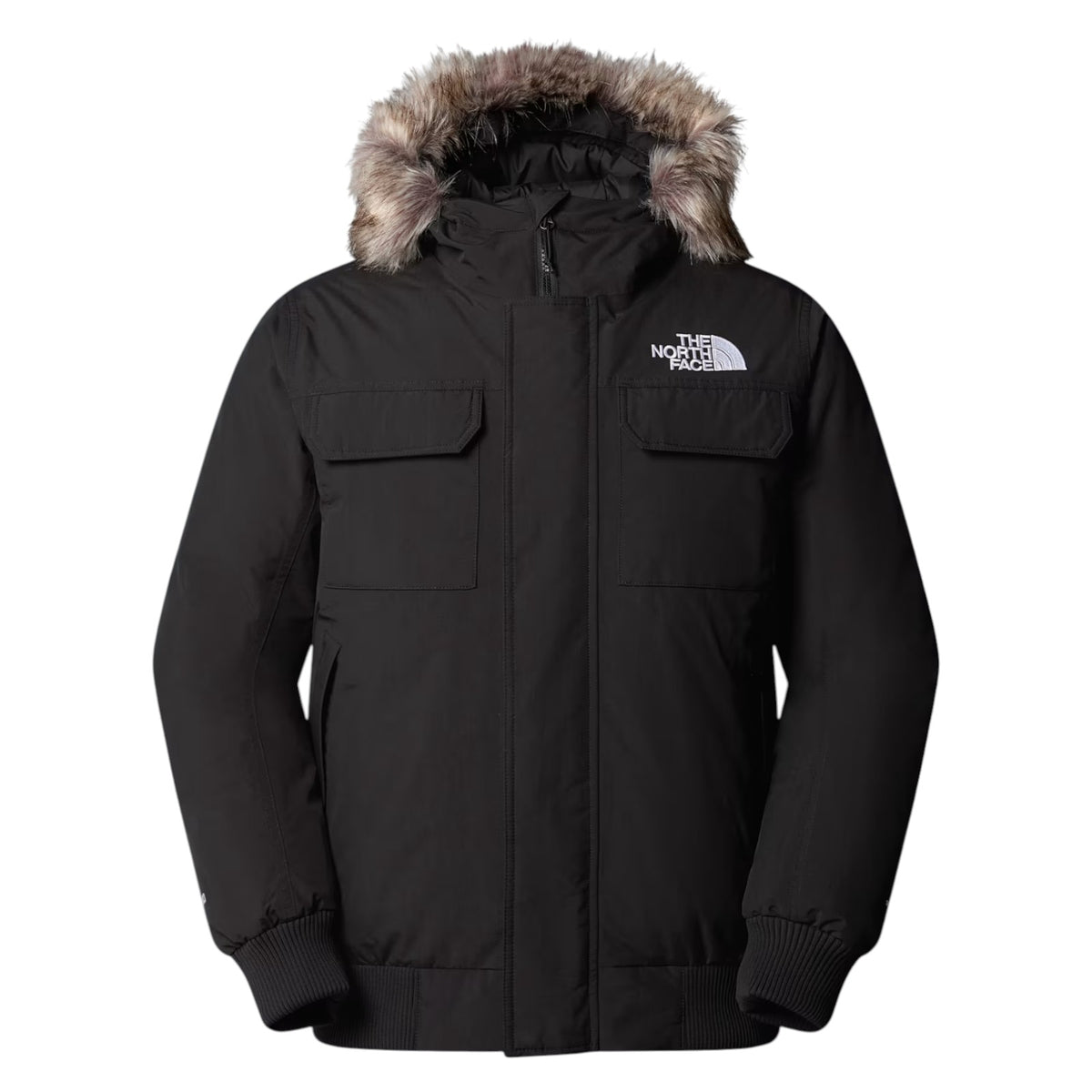 Giubbotto THE NORTH FACE Uomo NF0A5GD9 KX7