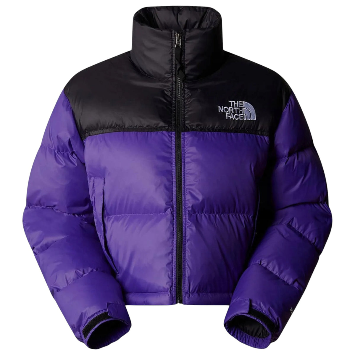 Jacket THE NORTH FACE WOMAN NF0A5GGE S96