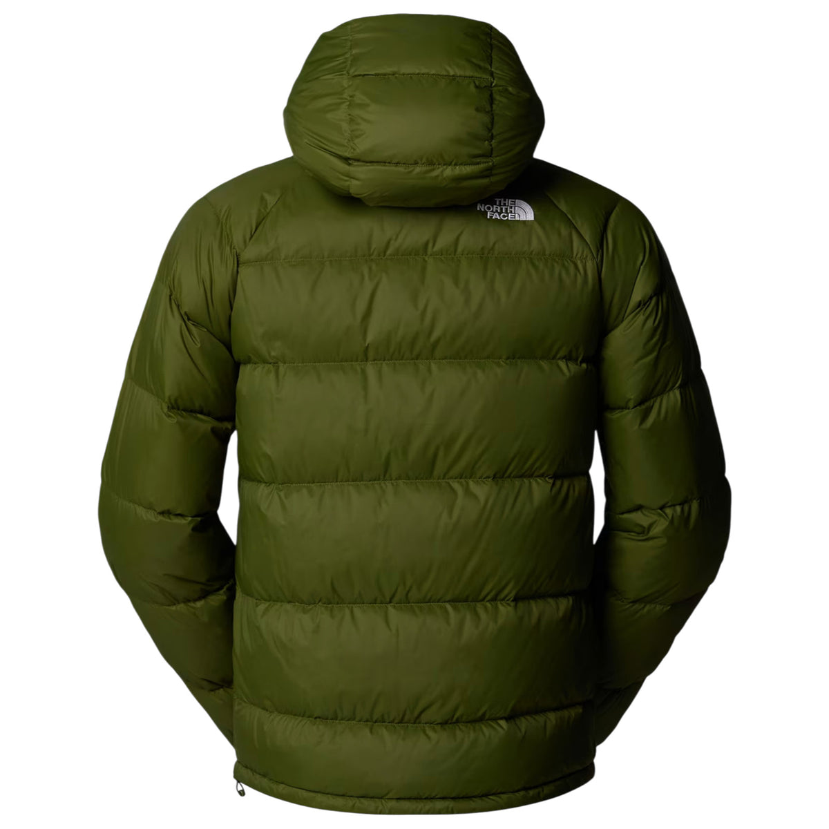 Giubbotto THE NORTH FACE Uomo NF0A5GIE BRI