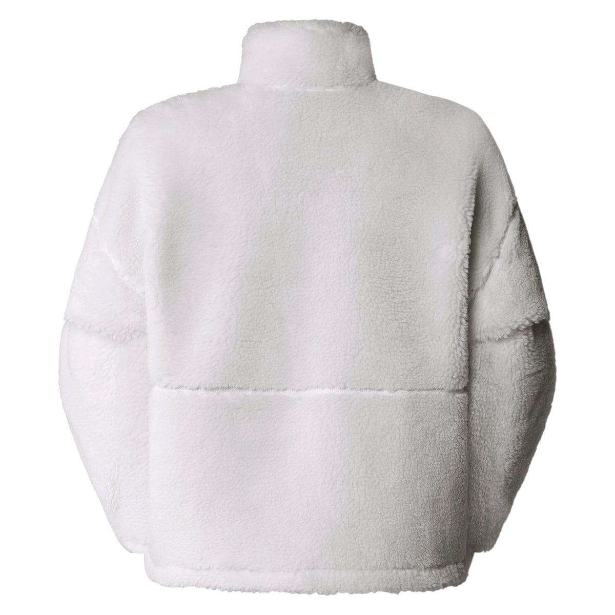 Jacket THE NORTH FACE WOMAN NF0A88ZC QLI
