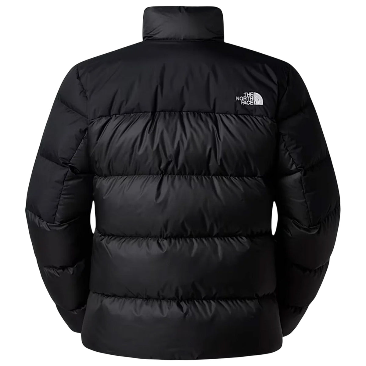 Giubbotto THE NORTH FACE Uomo NF0A8993 GOC