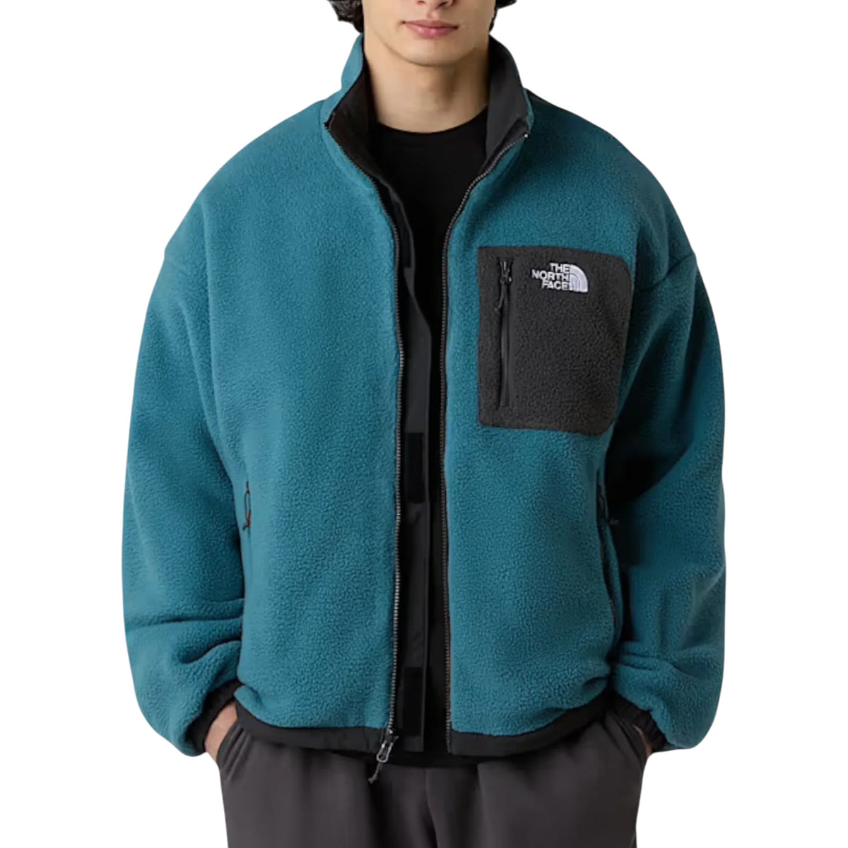 Giubbotto THE NORTH FACE Uomo NF0A89GT GBO