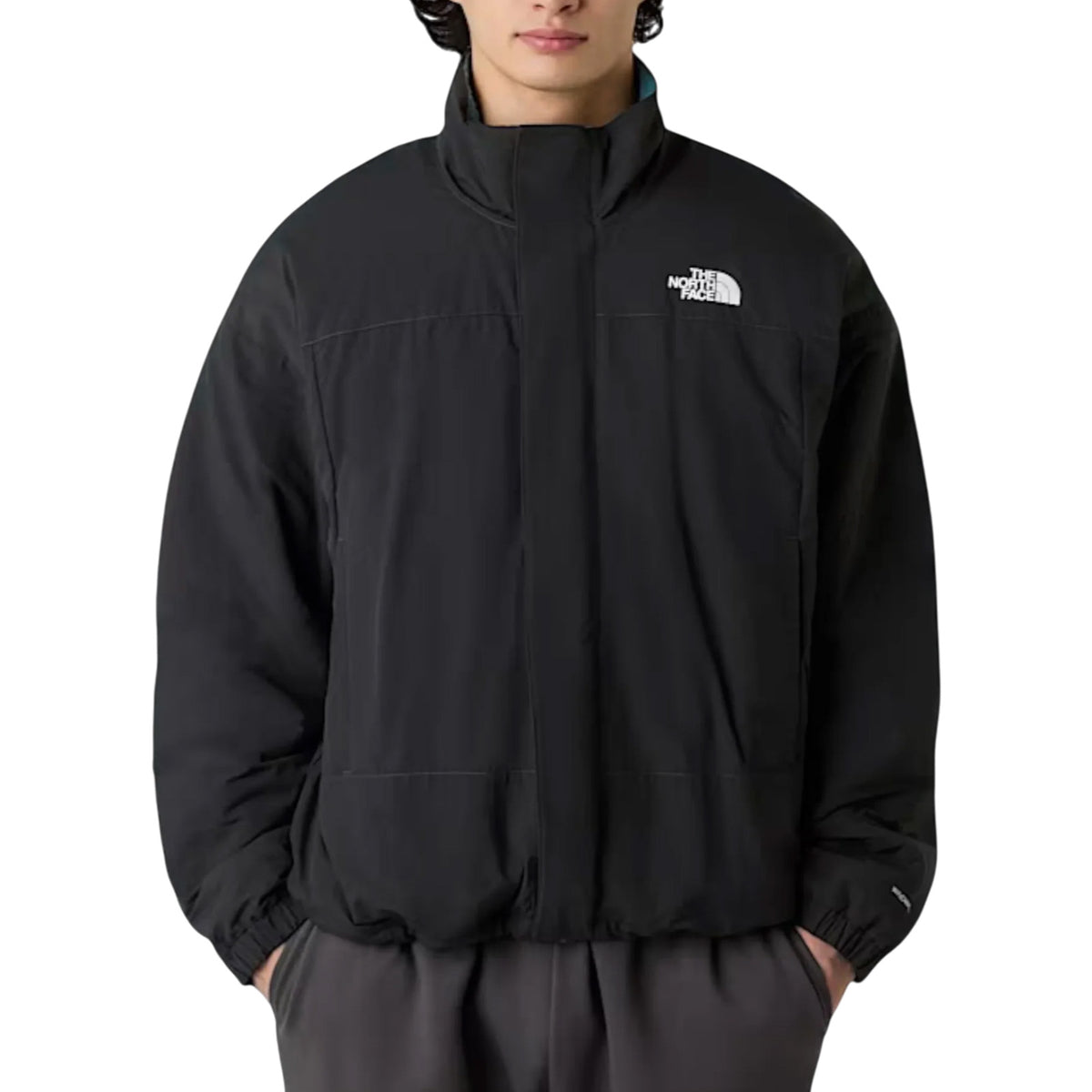 Giubbotto THE NORTH FACE Uomo NF0A89GT GBO
