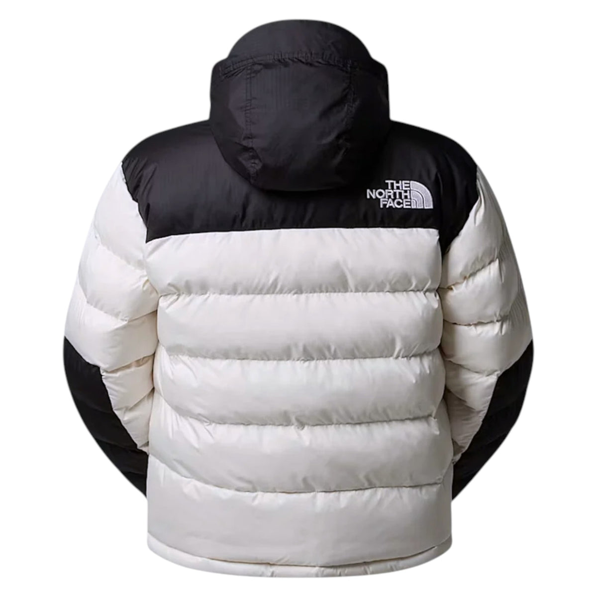 Giubbotto THE NORTH FACE Donna NF0A8DZX QLI