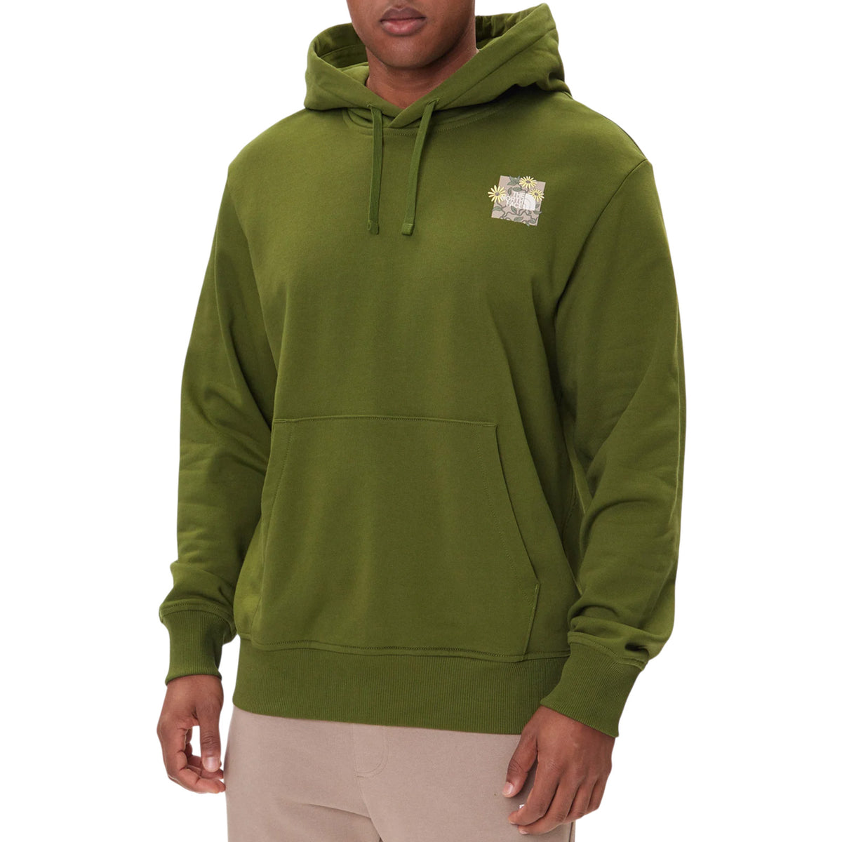 Sweatshirt THE NORTH FACE MAN NF0A8E40 BRI