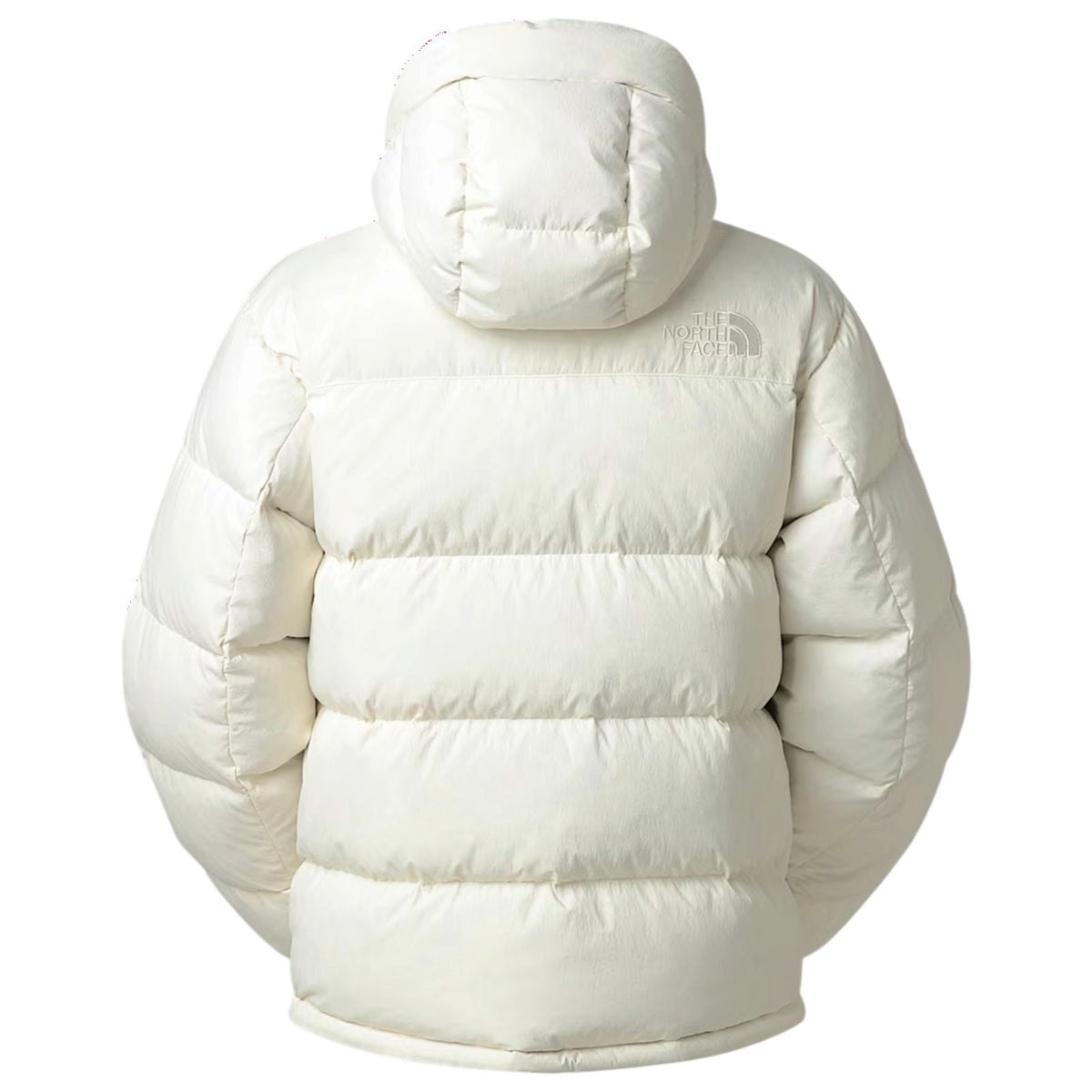 Giubbotto THE NORTH FACE Uomo NF0A8EBH QLI