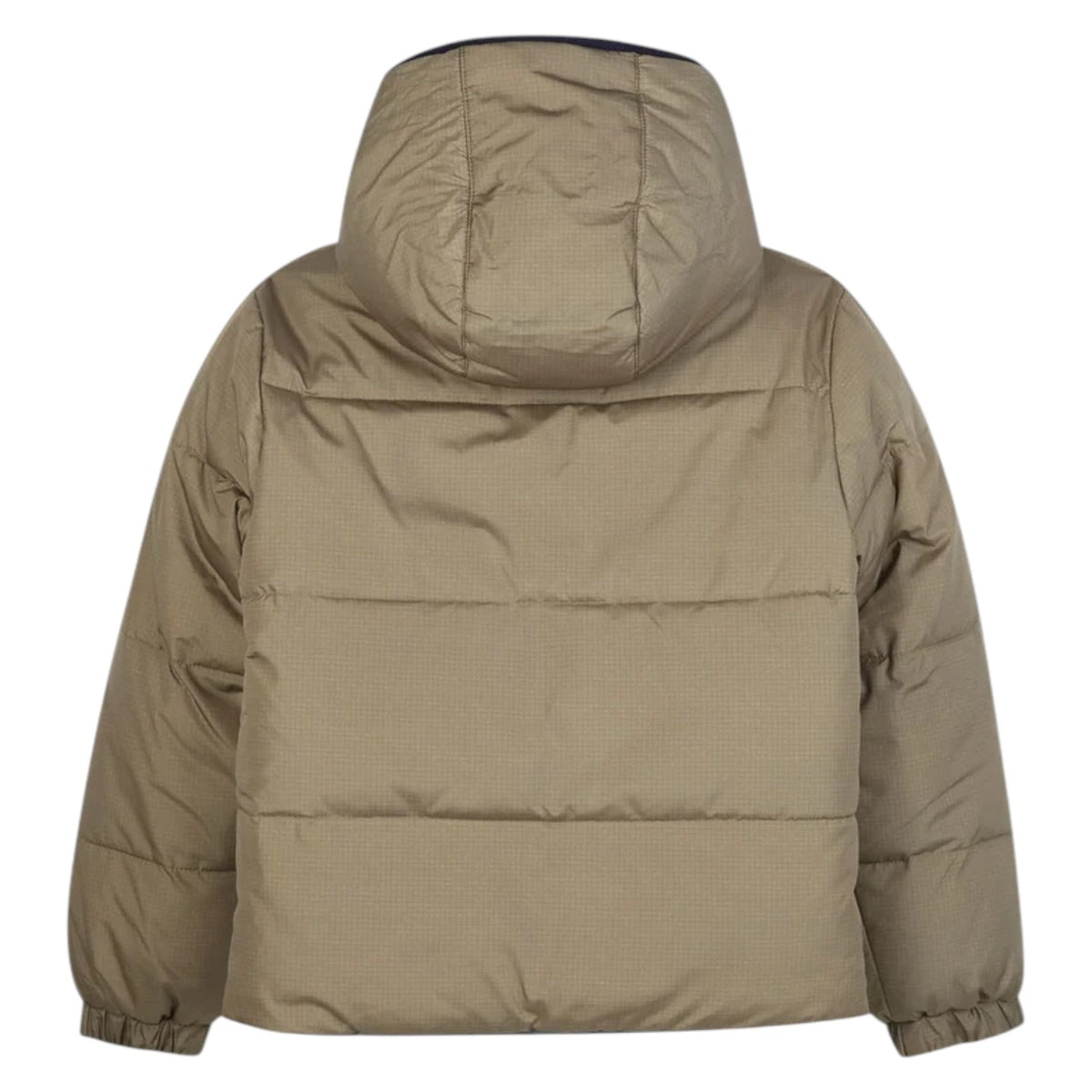 Jacket TIMBERLAND kids Boy T60573 659