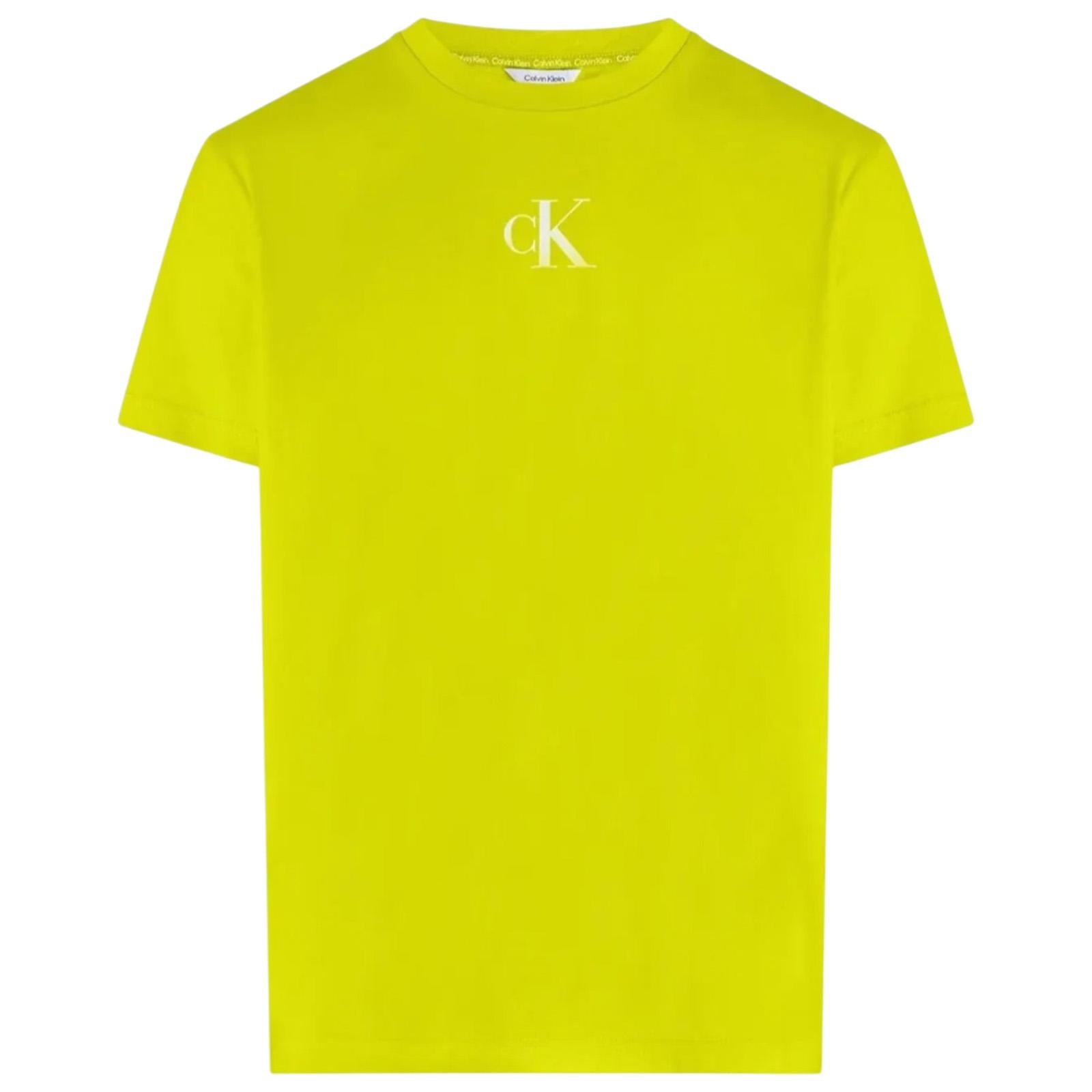 T-shirt CALVIN KLEIN Uomo KM0KM01144 LRF