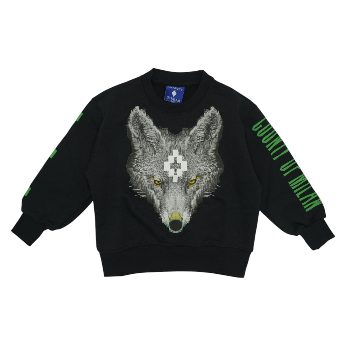 Sweatshirt COUNTY OF MILAN kids Boy FCMJBSW075 110 