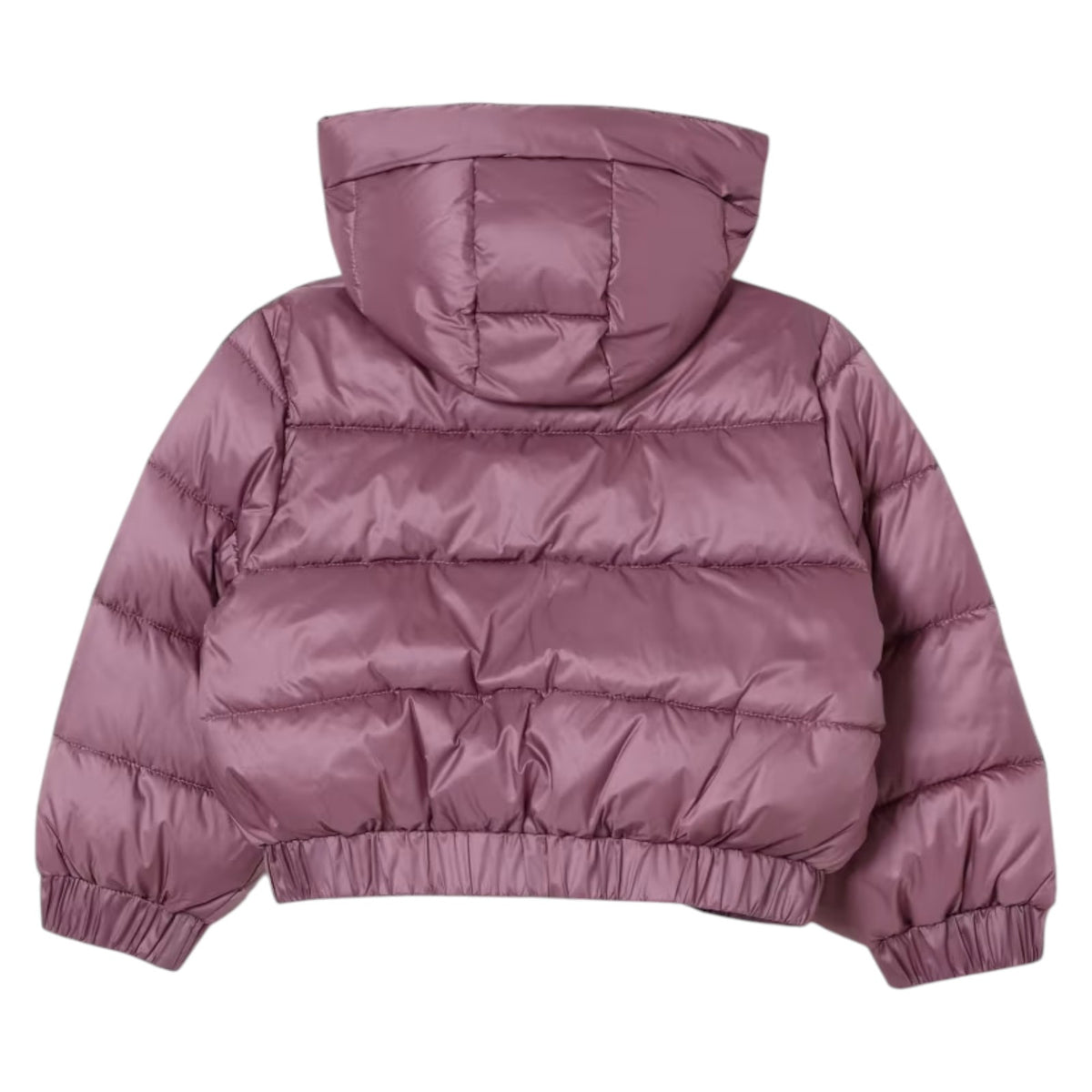 Jacket EA7 kids Girl 7G000166-AF16413 UA272 