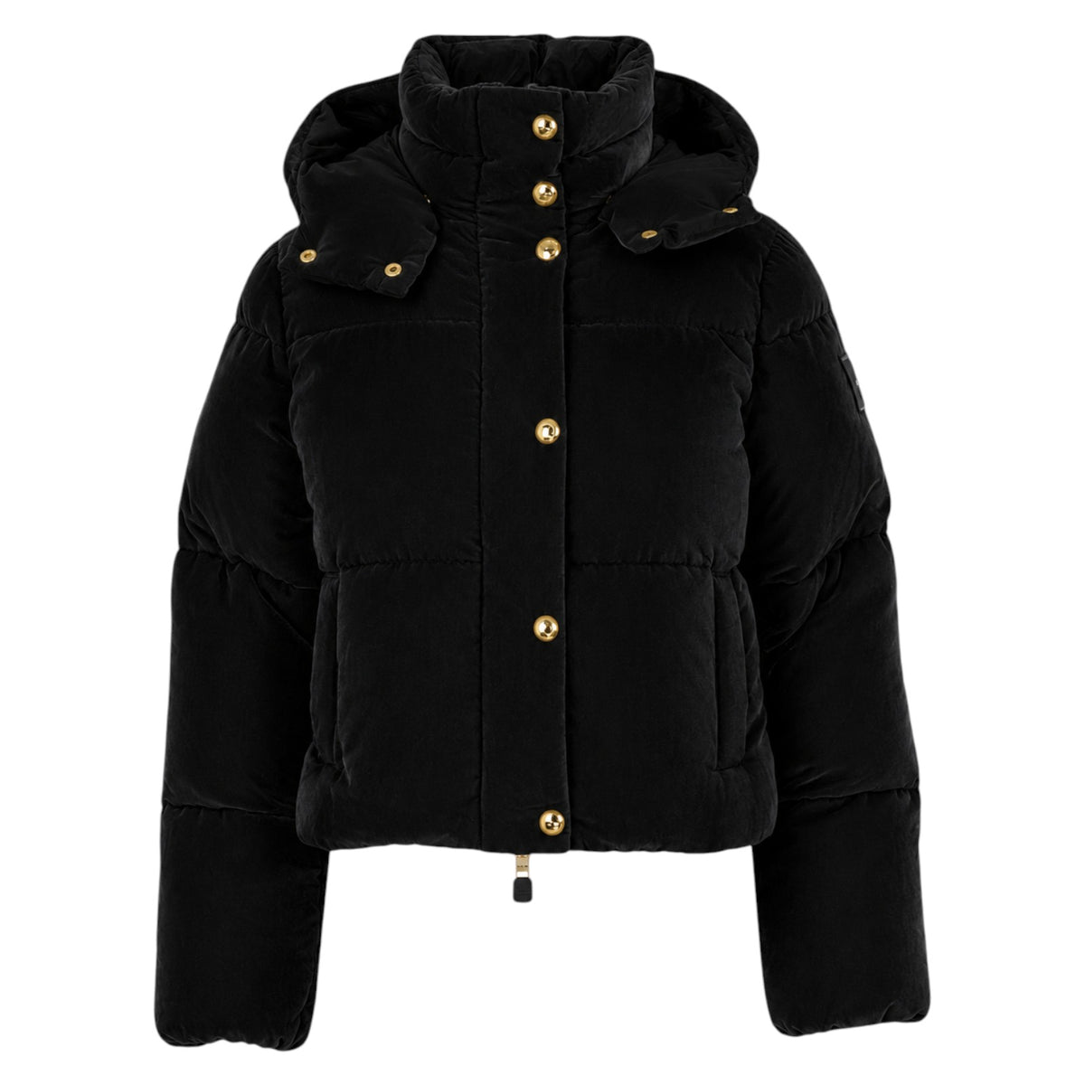 Jacket ELISABETTA FRANCHI WOMAN PI-82D-56E2 110 