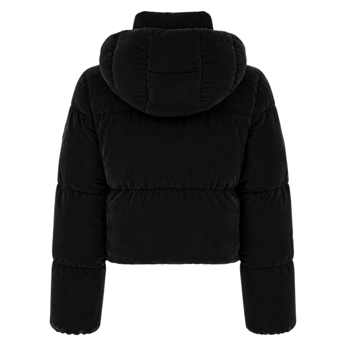 Jacket ELISABETTA FRANCHI WOMAN PI-82D-56E2 110 
