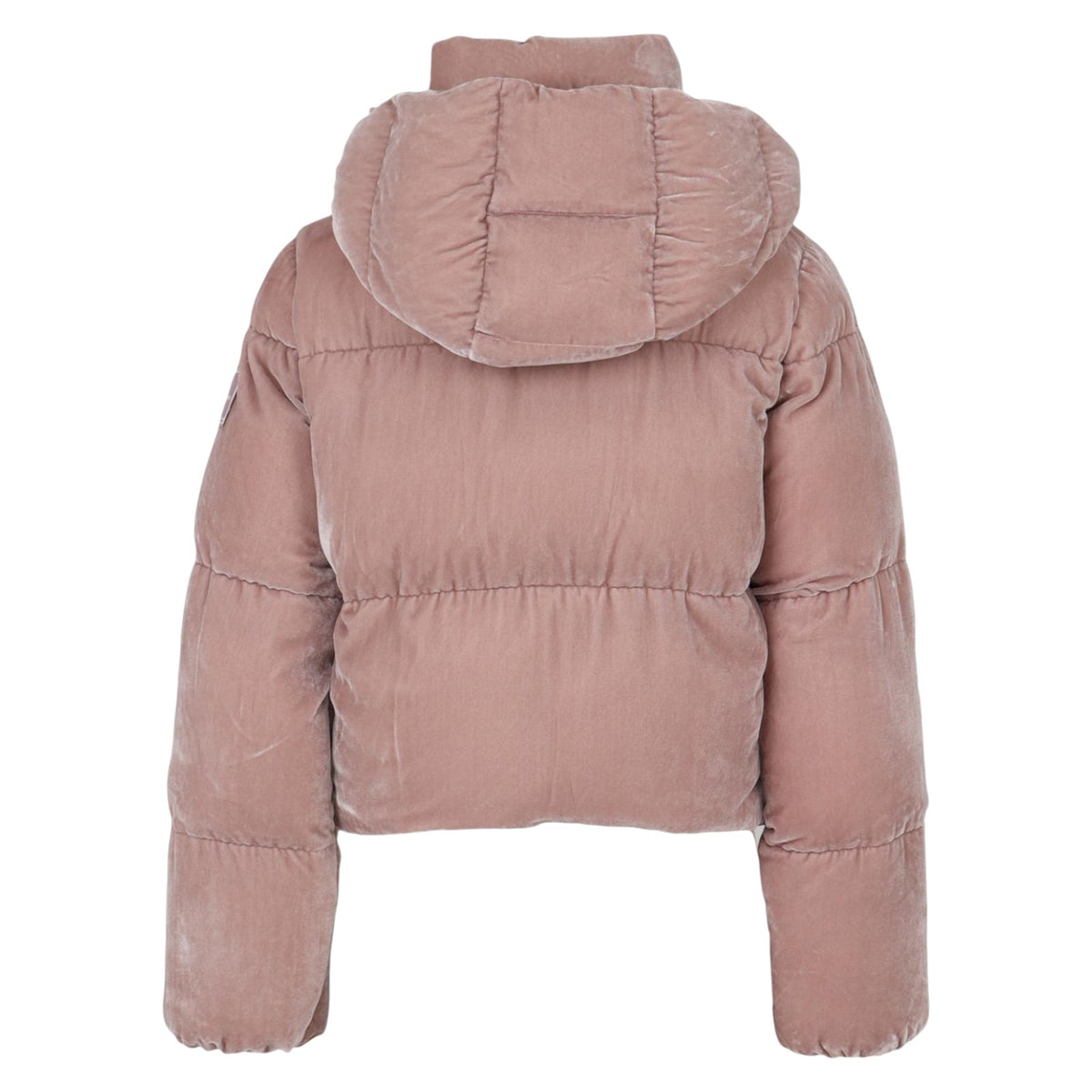 Jacket ELISABETTA FRANCHI WOMAN PI-82D-56E2 EA6 