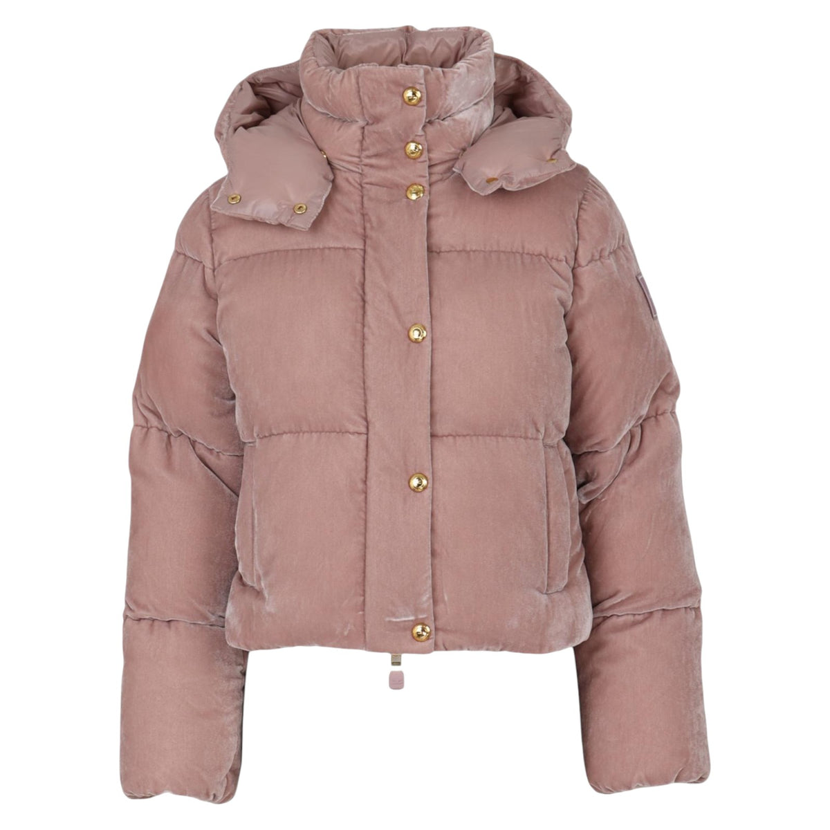 Jacket ELISABETTA FRANCHI WOMAN PI-82D-56E2 EA6 