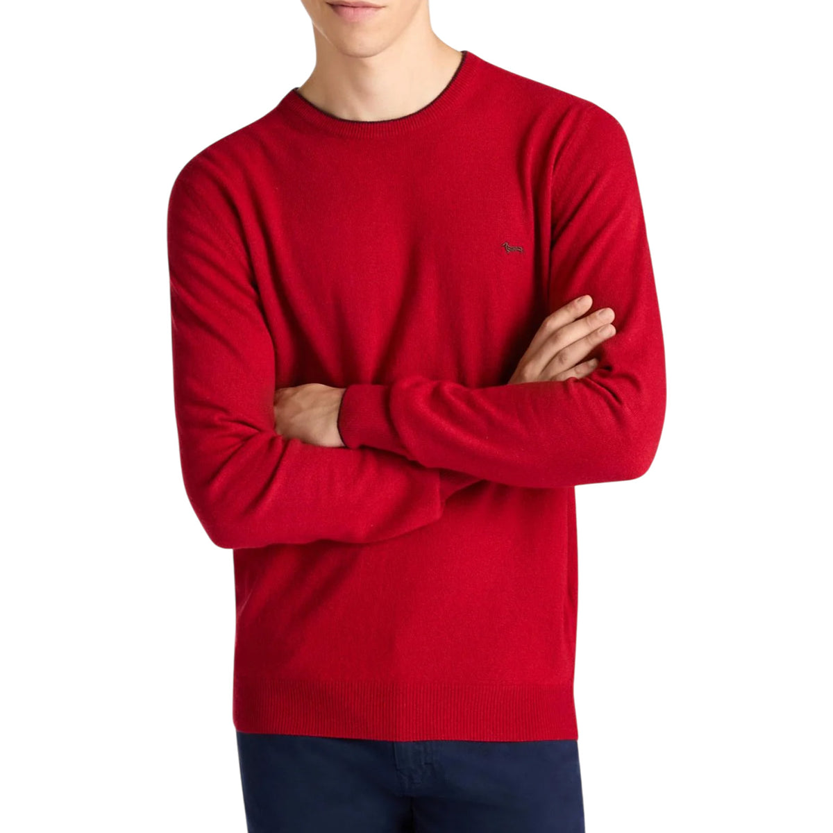 Sweater HARMONT&BLAINE MAN HRP007-030187 534 