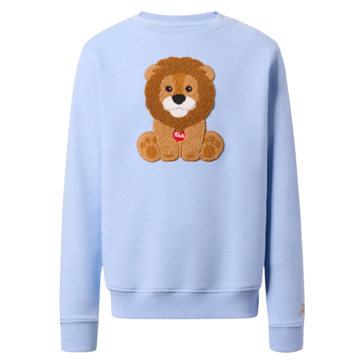Sweatshirt MC2 SAINT BARTH KIDS Boy HUTTON-N 01819I 