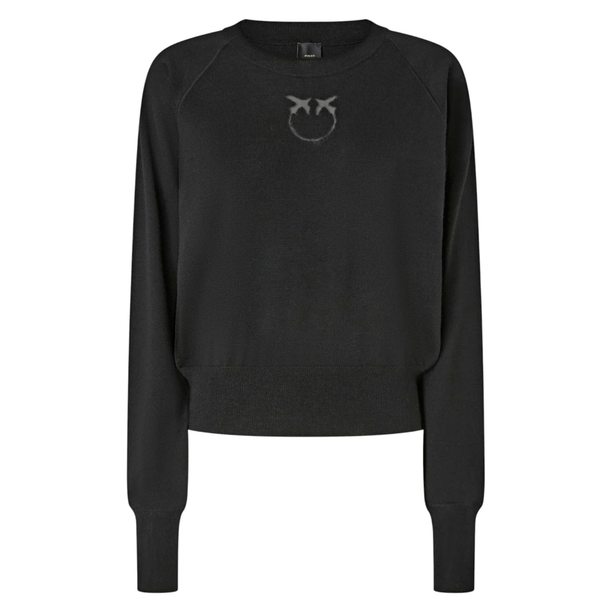 Maglione PINKO Donna 105417-A18M Z99 