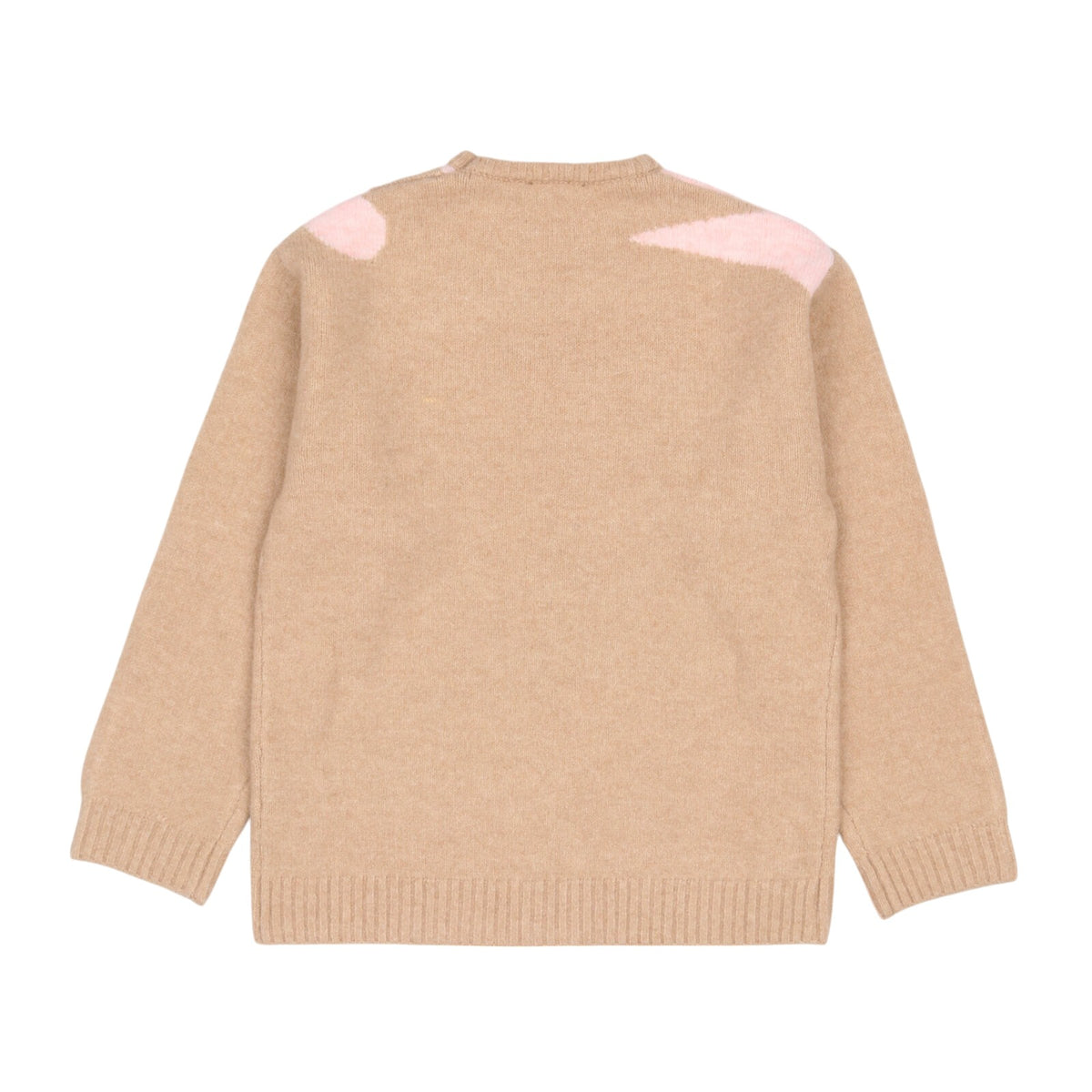 Maglione PINKO kids Bambina F4PIJGJP079 178 