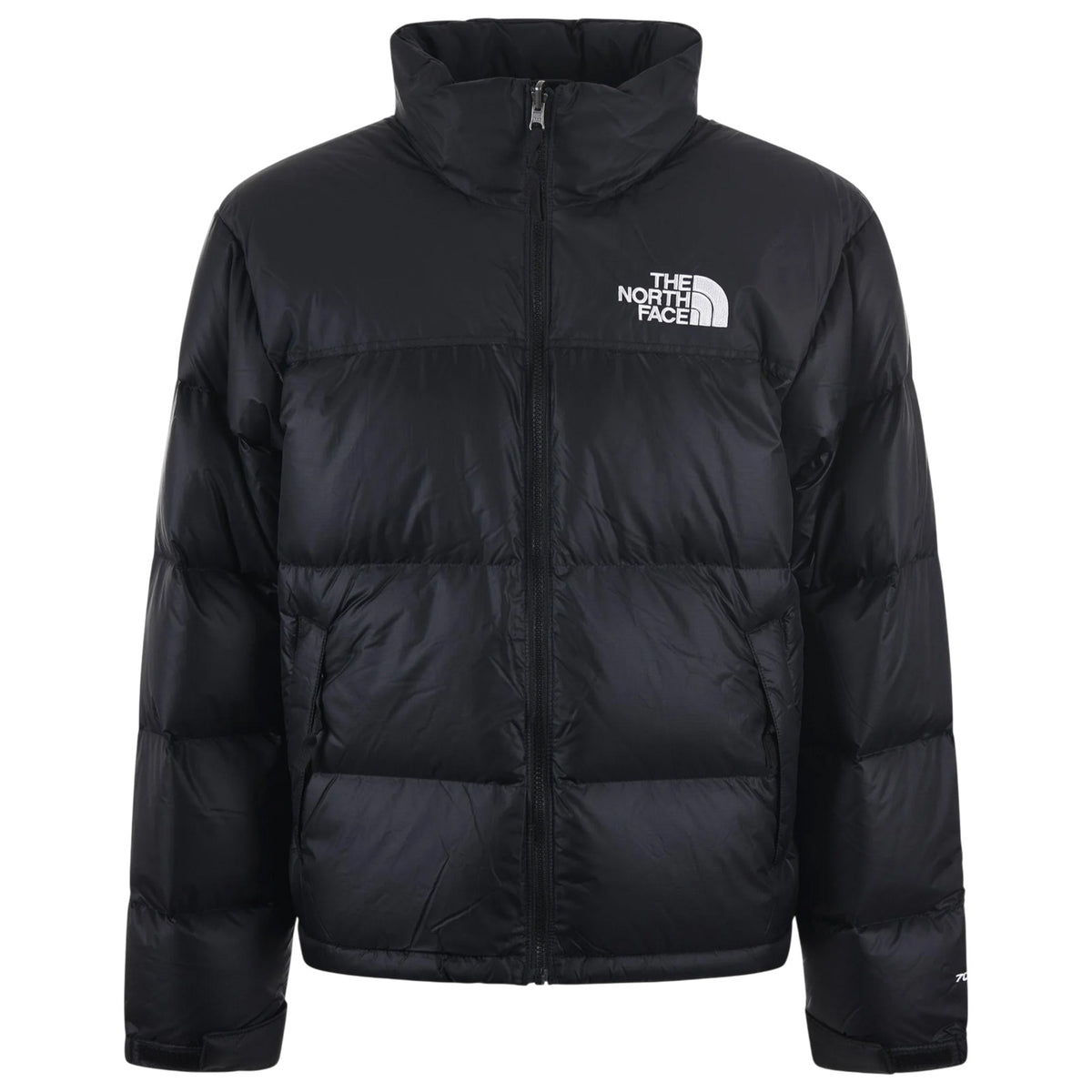 Giubbotto THE NORTH FACE Uomo NF0A3C8D 4G3 