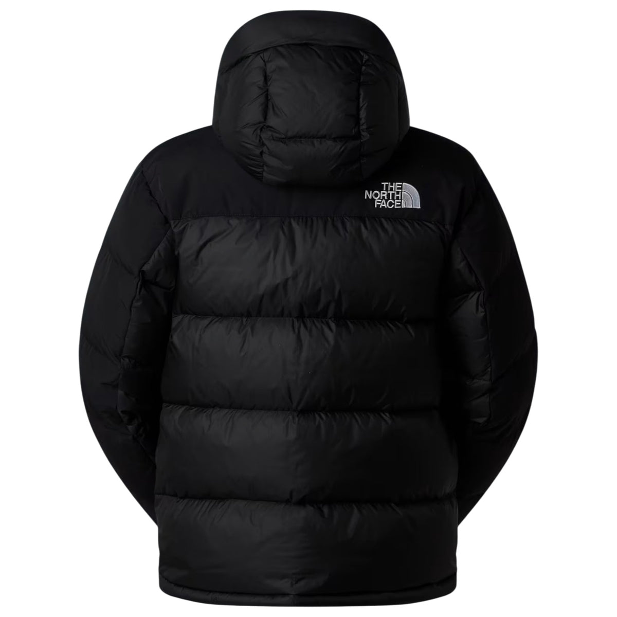 Giubbotto THE NORTH FACE Uomo NF0A4QYX GOF 