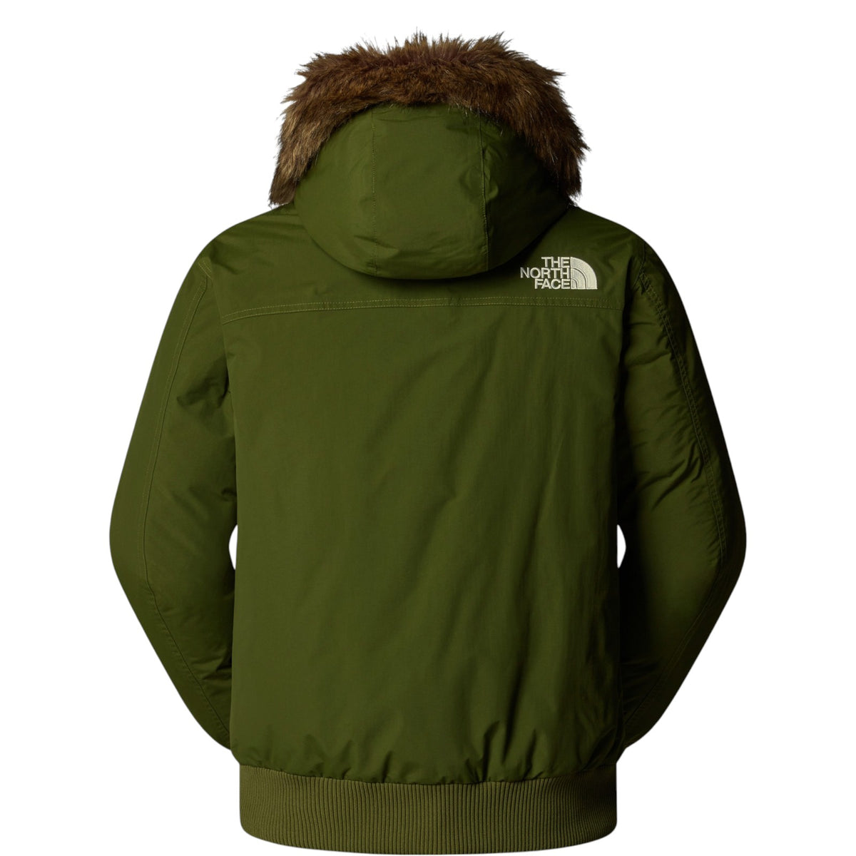 Giubbotto THE NORTH FACE Uomo NF0A5GD9 BRI 
