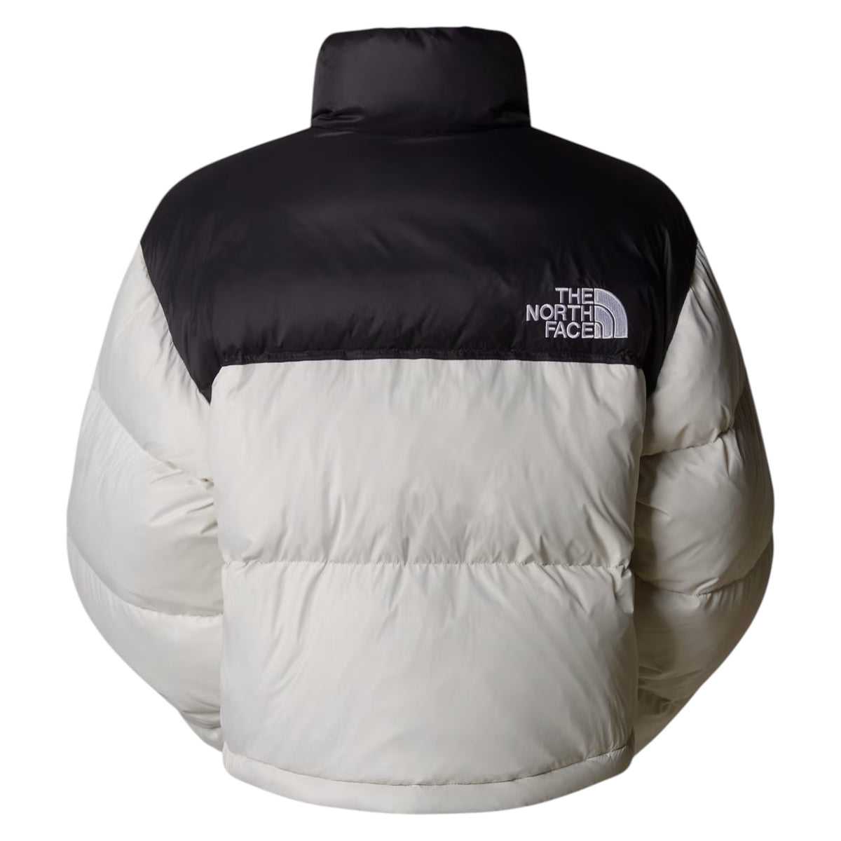 Jacket THE NORTH FACE WOMAN NF0A5GGE ROU 