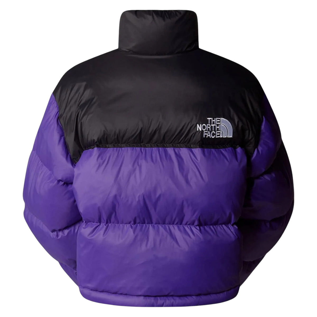 Jacket THE NORTH FACE WOMAN NF0A5GGE S96 