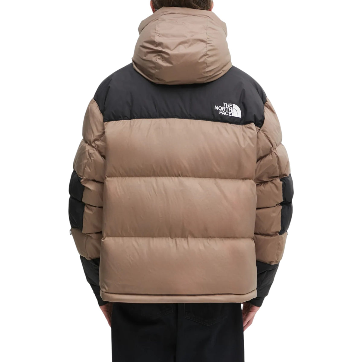 Jacket THE NORTH FACE MAN NF0A832G DHL 