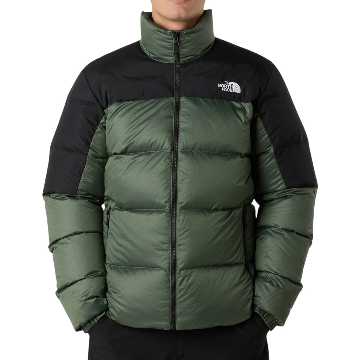Giubbotto THE NORTH FACE Uomo NF0A8993 EIH 