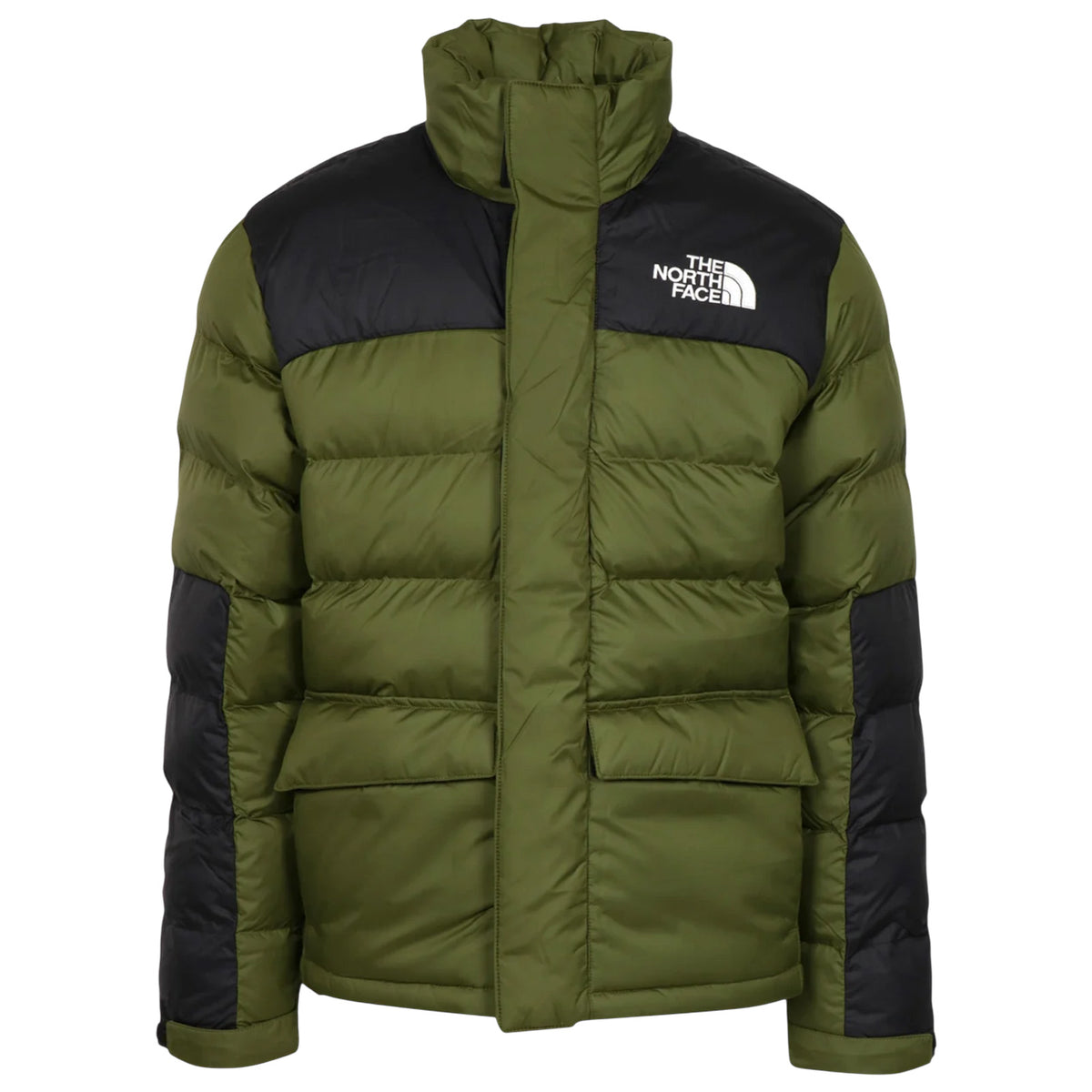 Giubbotto THE NORTH FACE Uomo NF0A89EG BRI 