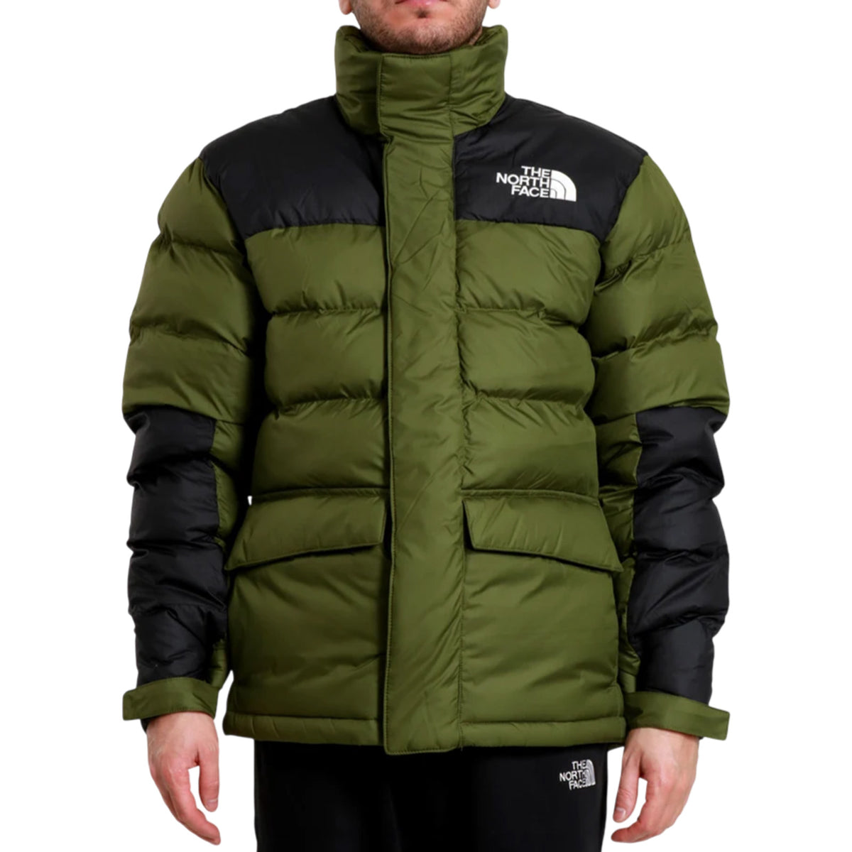 Giubbotto THE NORTH FACE Uomo NF0A89EG BRI 