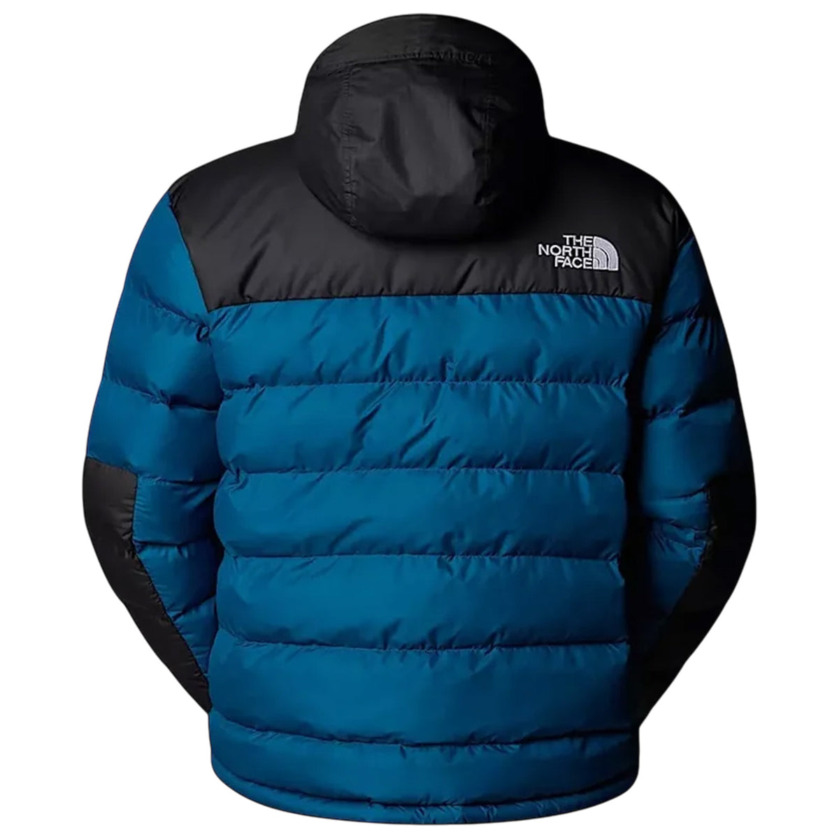 Jacket THE NORTH FACE MAN NF0A89EG BSI 