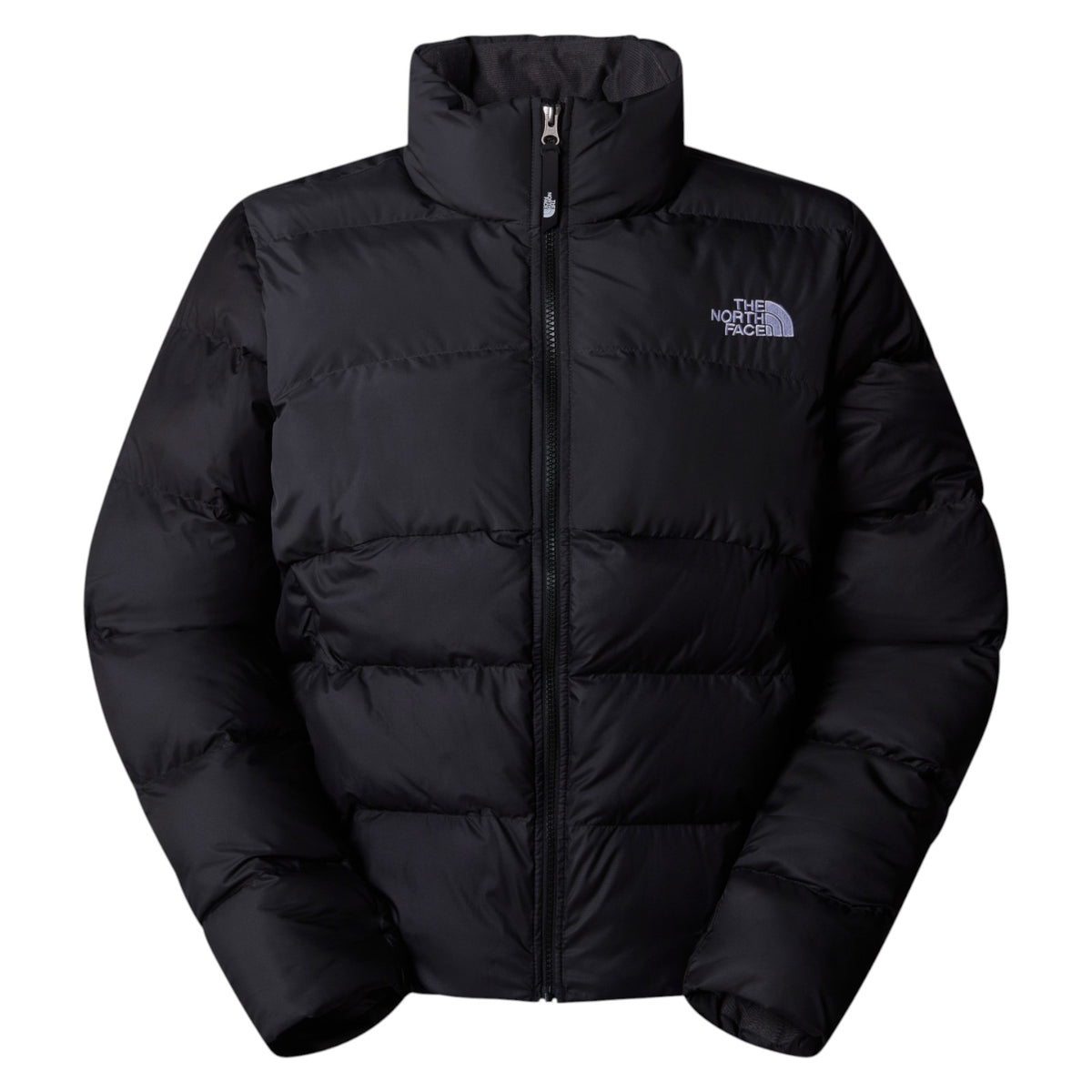 Jacket THE NORTH FACE WOMAN NF0A89JD KT0 