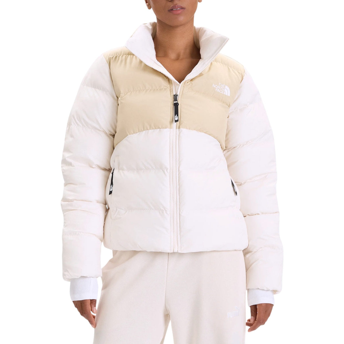 Jacket THE NORTH FACE WOMAN NF0A89JD TIU 