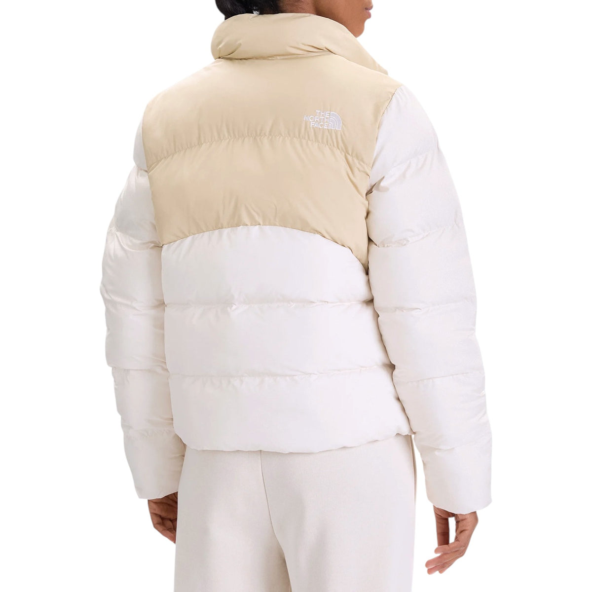 Jacket THE NORTH FACE WOMAN NF0A89JD TIU 