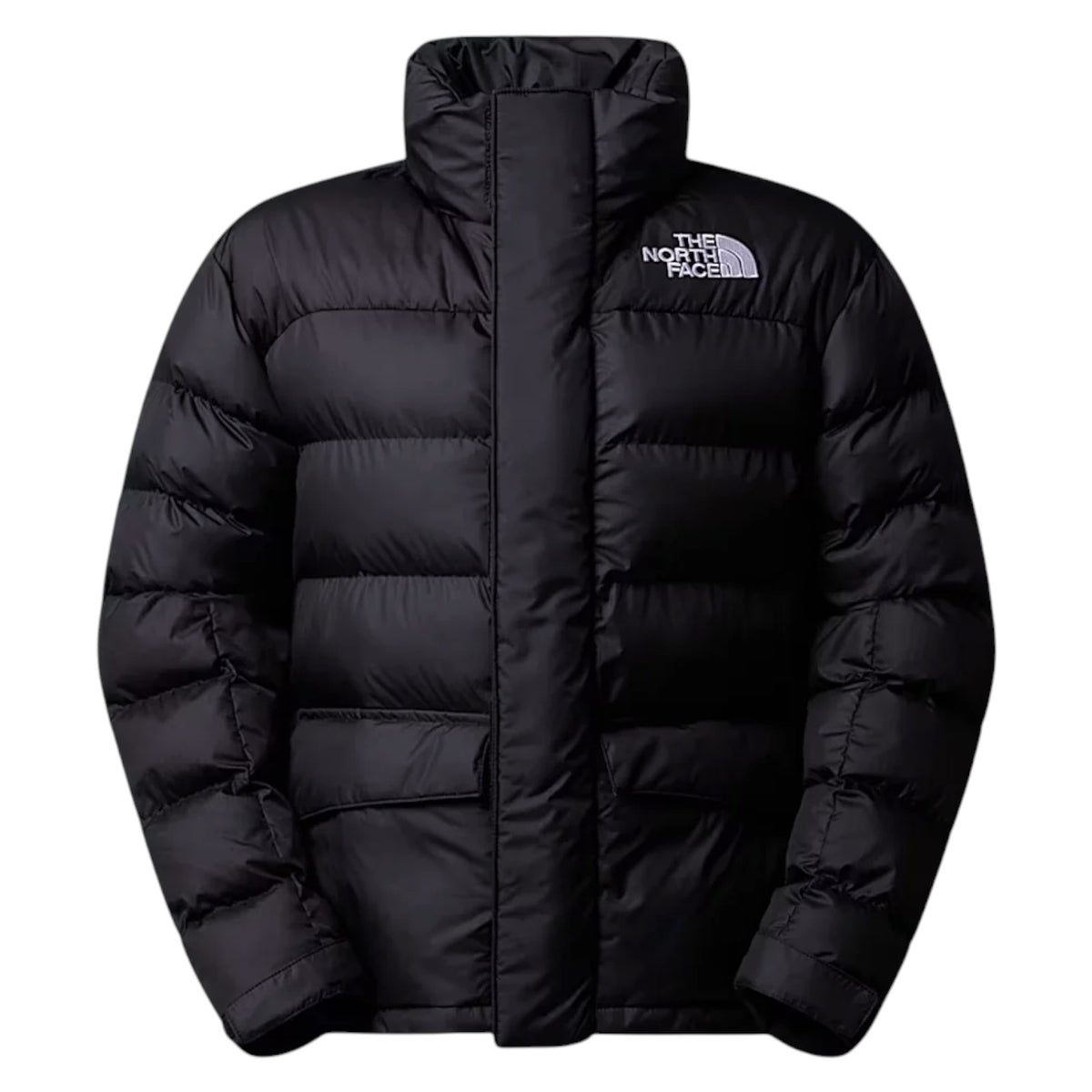 Jacket THE NORTH FACE WOMAN NF0A8DZX JK3 