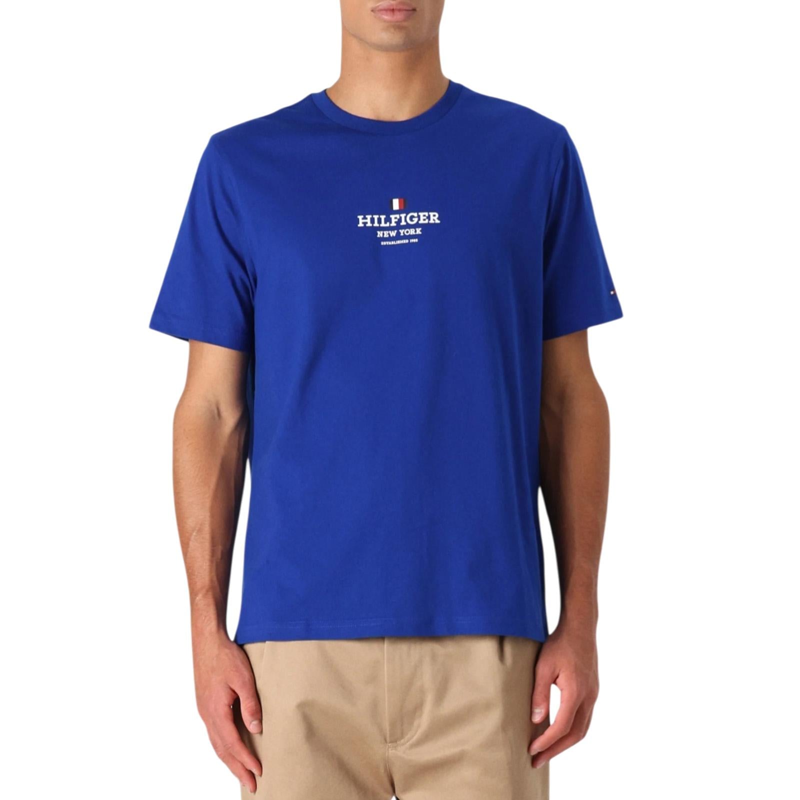 T-shirt TOMMY HILFIGER Uomo MW0MW38980 D03 
