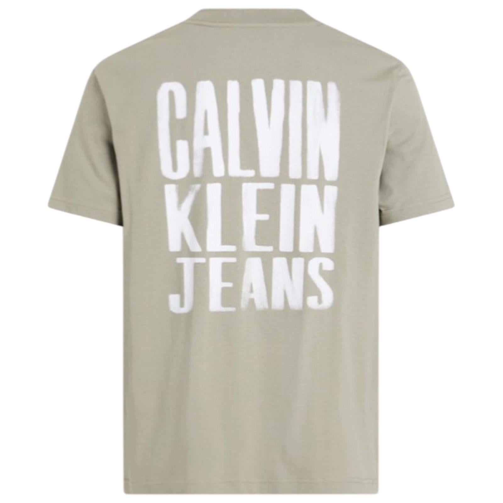 T-shirt CALVIN KLEIN Uomo J30J327523 PCZ 