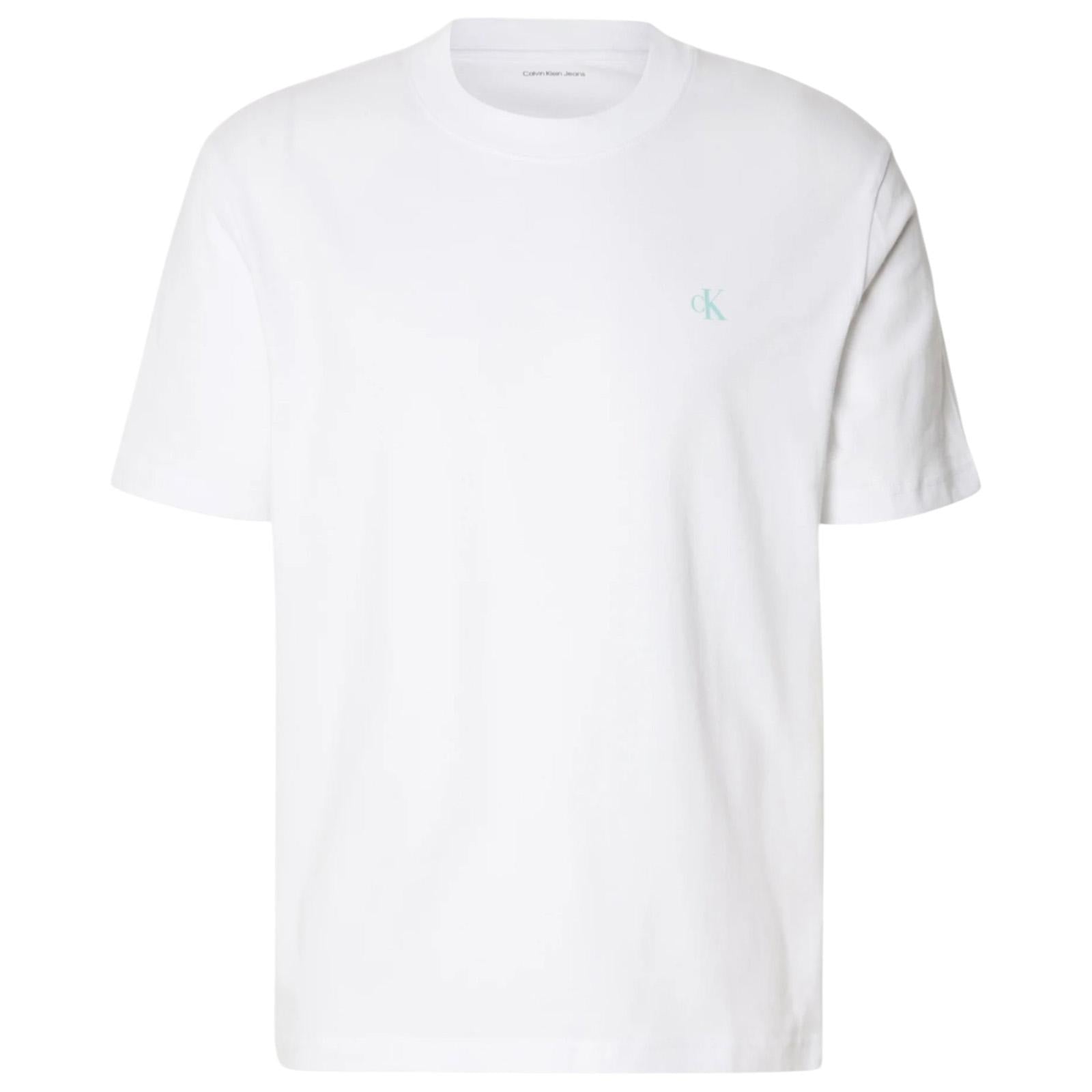 T-shirt CALVIN KLEIN Uomo J30J327523 YAF 