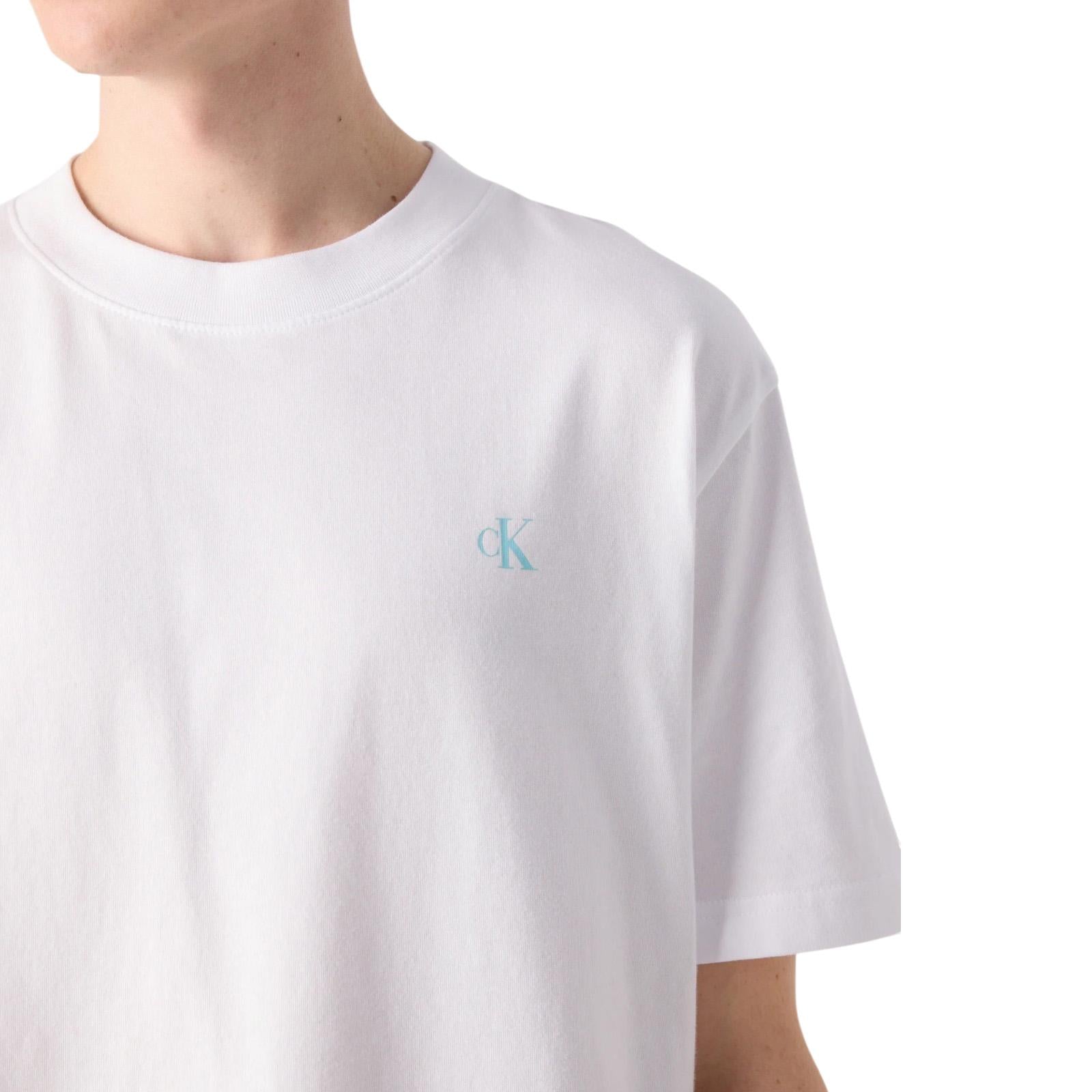 T-shirt CALVIN KLEIN Uomo J30J327523 YAF 