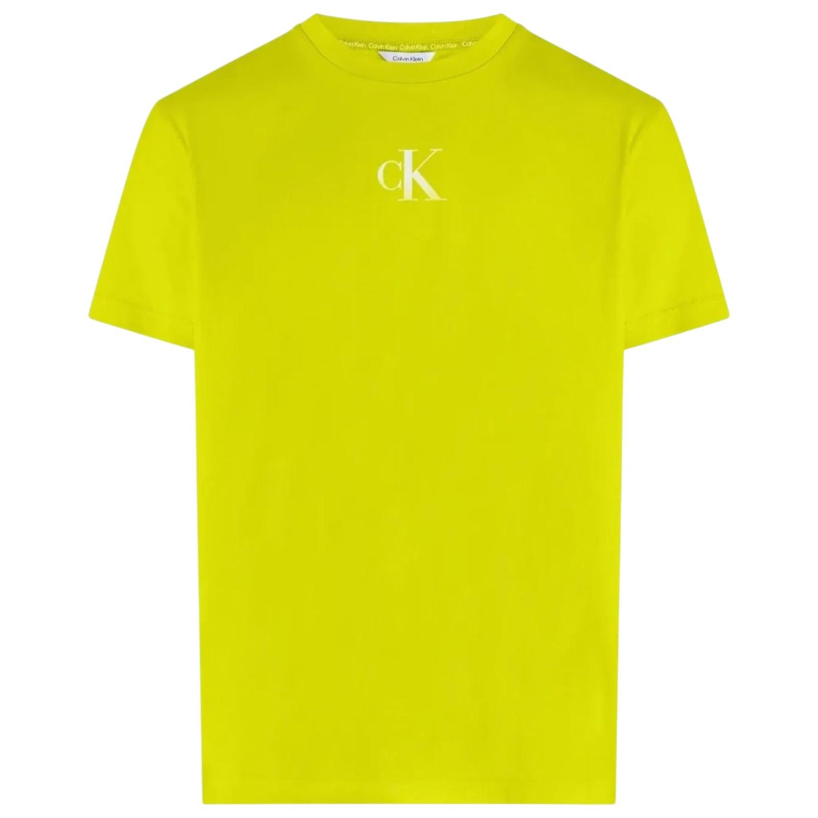 T-shirt CALVIN KLEIN Uomo KM0KM01144 LRF 